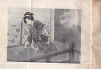 怪盗女賊　いなづま嵐　-君ヶ代文庫-