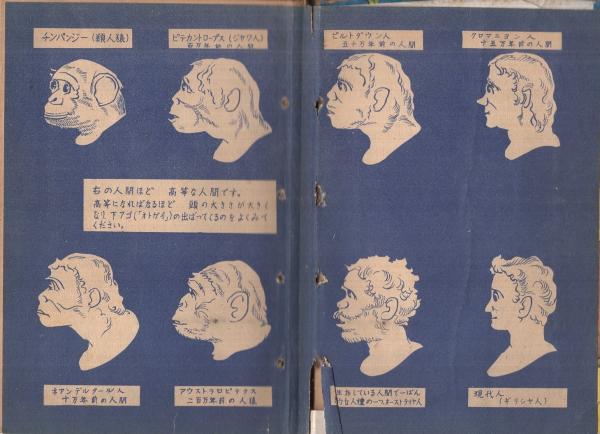有尾人(手塚治虫) / 古本、中古本、古書籍の通販は「日本の