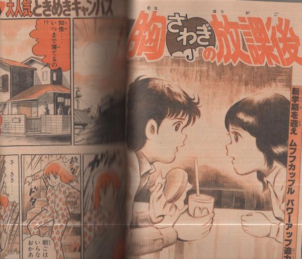 光の小次郎 (1-19巻 全巻) | 漫画全巻ドットコム