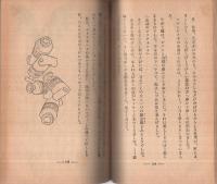 少女小説　月の悲歌