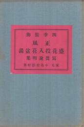 四季装飾　正風盛花投入花盆画写真説明集（正風華道）