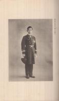 皇族殿下台臨記