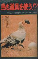 週刊少年サンデー　昭和49年29号　昭和49年7月14日号　表紙画・貝塚ひろし「柔道讃歌」