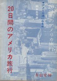 20日間のアメリカ旅行　-アメリカ通になる本-