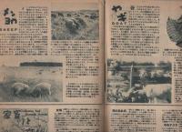 少年少女科学グラフ　8号　昭和23年3月号