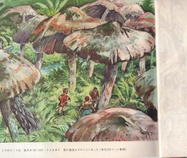 地底の探検 ベルヌ冒険名作選集6 ベルヌ 訳 江口清 口絵と挿絵 武部本一郎 装幀 小松崎茂 伊東古本店 古本 中古本 古書籍の通販は 日本の古本屋 日本の古本屋 地底の探検 ベルヌ冒険名作選集6 ベルヌ 訳 江口清 口絵と挿絵 武部本一郎 装幀 小松崎茂 伊東古本店 古本 中古本 古書籍の通販は 日本の古本屋 日本の古本屋