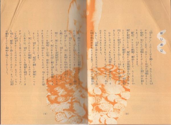 なぞ神秘 世界の秘宝をさぐれ -ジュニアチャンピオンコース-(畠山清行 