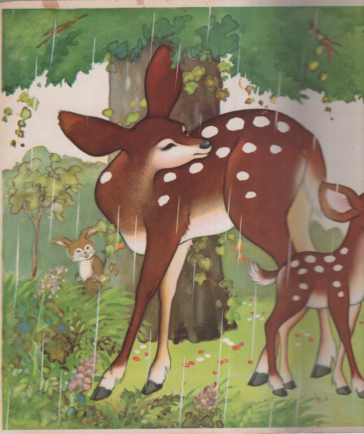 バンビ 愛児絵本 伊東古本店 古本 中古本 古書籍の通販は 日本の古本屋 日本の古本屋 バンビ 愛児絵本 伊東古本店 古本 中古本 古書籍の通販は 日本の古本屋 日本の古本屋