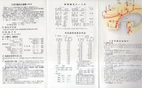 かごしま　観光の手引（鹿児島市）