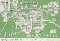 観光の松山（愛媛県）