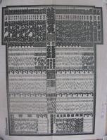 （大相撲番付表）昭和40年5月場所（夏場所）