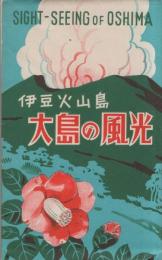 （絵葉書）伊豆火山島　大島の風光　袋付9枚（東京都）