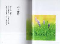 不滅への道　-心の指針　第五集-（幸福の科学）