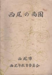 西尾の商圏（愛知県）