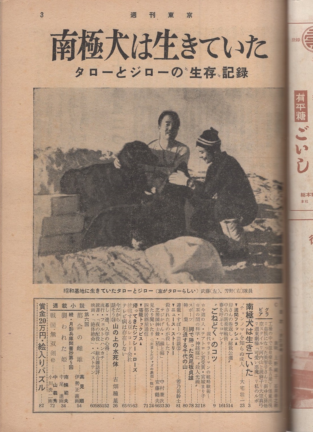 週刊東京 昭和34年1月31号 表紙モデル・上野純子(〈南極犬は生き