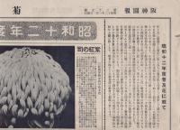 菊花銘鑑　阪神園報　35号　昭和12年1月1日（尼崎市）