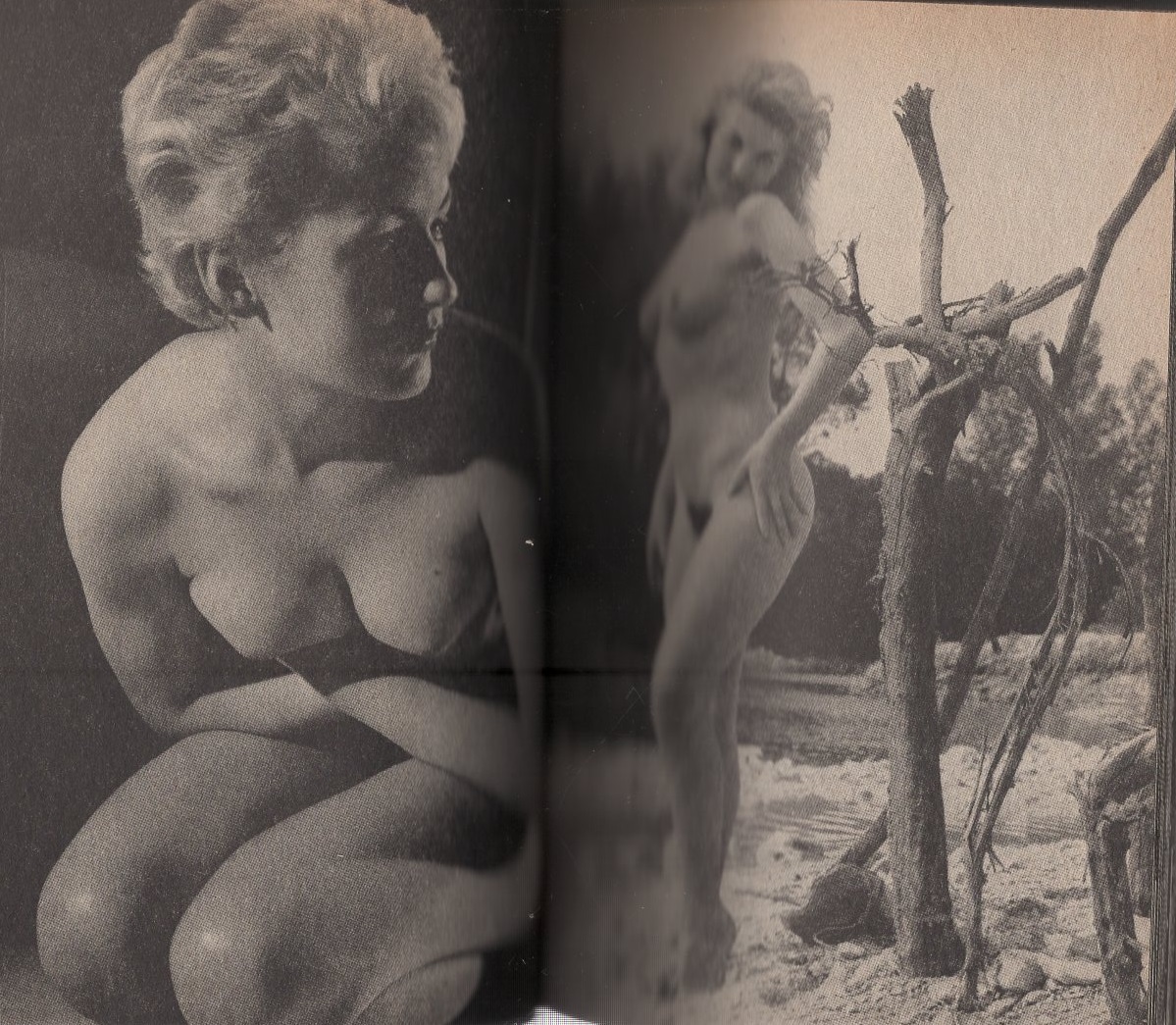 paradise girl nude ザ・ヌード SALE2 特別号）the NUDE :Paradise of Pin-Up Girls / 古本、中古本、古書籍の通販は「日本の古本屋」  / 日本の古本屋