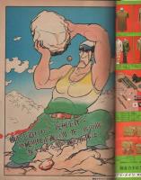 喧嘩道　2　-平凡パンチ昭和53年5月10日号増刊-