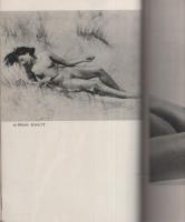ヴィナス　-世界ヌード写真傑作集-　カメラファン昭和26年3月臨時増刊