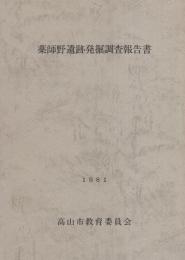 薬師野遺跡発掘調査報告書（岐阜県高山市）