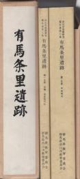 有馬条里遺跡　-沖田地区-　全2冊一函入〔第1分冊　古墳・奈良時代他、第2分冊　平安時代〕（群馬県渋川市）