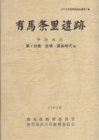 有馬条里遺跡　-沖田地区-　全2冊一函入〔第1分冊　古墳・奈良時代他、第2分冊　平安時代〕（群馬県渋川市）