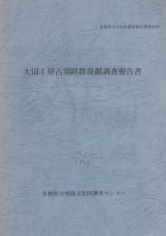 太田1号古窯跡群発掘調査報告書（岐阜県各務原市）