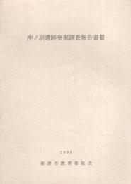 沖ノ羽遺跡発掘調査報告書Ⅲ（新潟県新津市）