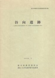 谷向遺跡　-北関東自動車道建設に伴う埋蔵文化財発掘調査13-（栃木県下都賀郡壬生町）