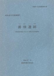 岐阜県可児郡御嵩町　浦畑遺跡　-無線基地局建設工事に伴う埋蔵文化財発掘調査-