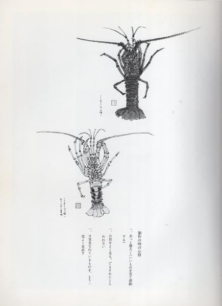 アプリケの世界 -求龍堂グラフィックス-(宮脇綾子) / 古本、中古本、古