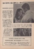 （小型映画パンフレット）挑戦