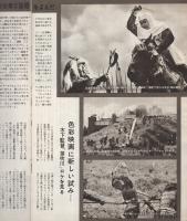 （小型映画パンフレット）笛吹川　-特撰名画シリーズ9-
