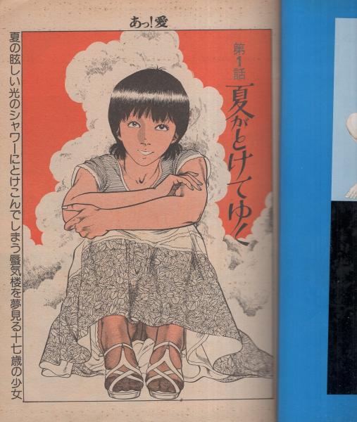 羽中ルイ エロティシズムの世界 官能劇画 三流劇画