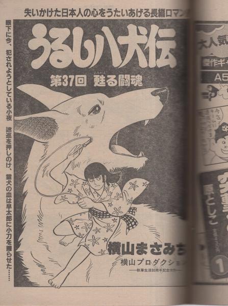 講談社 「日本の祭り」全8巻 昭和57年刊 発行時参考価 2800円（1