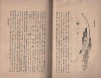 三重評論　4号　-明治37年2月3日発刊-（三重県）