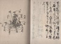 是真風盛花型譜