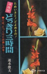 ためいきと！どよめきの！深夜版どっきり三時間　-三時間文庫-