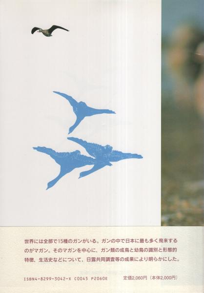 マガン (BIRDERスペシャル)／池内 俊雄 マガン -BIRDERスペシャル-(池内俊雄) / 古本、中古本、古書籍の
