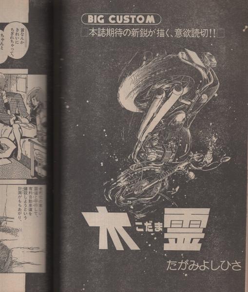 ビッグコミック 昭和55年14号 昭和55年7月25日号 表紙画・日暮