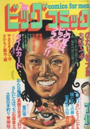 ビッグコミック　昭和56年13号　昭和56年7月10日号　表紙画・日暮修一