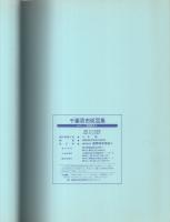 千葉県市街図集　-ユニオン5-