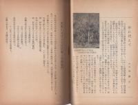 尾張における大江匡衡と赤染衛門