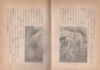 片眼の黄金獅子　-新ターザン物語-