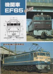 機関車EF65　-非貫通型-