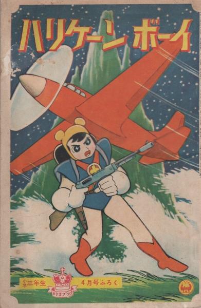 絵葉書） 明治44年7月26日大暴風雨 9枚 （東京）(〈洲崎〉〈深川