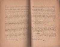 個性の内像と外像　-哲学論文-