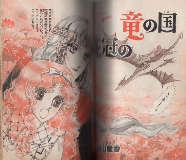 安い購入 プリンセス・ゴールド -プリンセス昭和55年11月25日増刊号- 表紙 その他