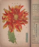 農事新報　明治44年2月5日号　表紙画・佐々木錦嶺「初午」