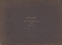 （英文）STUDIES OF ANIMALS（動物のイラスト集）